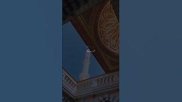 لَّقَدْ كَانَ لَكُمْ فِي رَسُولِ اللَّهِ أُسْوَةٌ حَسَنَةٌ | محمد صديق المنشاوي | سورة الأحزاب