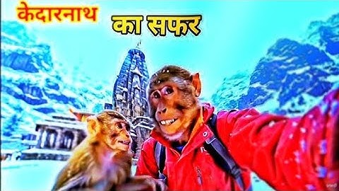 The Monkey Vlog || Kedarnath yatra #ai #viralvideo  #monkeyblogger #vlog #trending 