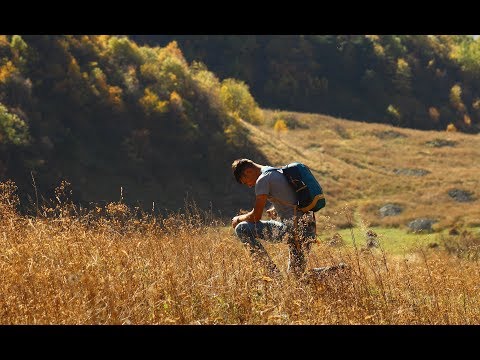 გზაზე ერთი ბიჭი მიდიოდა