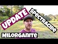 Front yard GRASS and WEEDS update | MILORGANITE | SPECTRACIDE weed stop