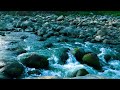 Peaceful River Sounds for Sleep in a Mountain Valley – Relax Instantly – Release Stress