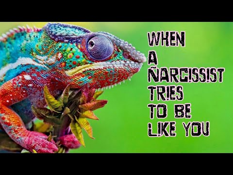 When A Narcissist Tries To Be Like You 🥸 #narcissist
