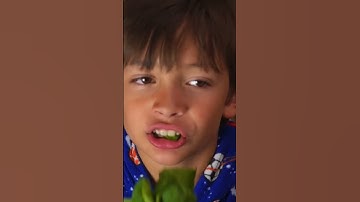 Thumbnail of Johny Johny, Yes Papa | BEST Songs for Kids #shorts #johnyjohnyyespapa #johnyjohny