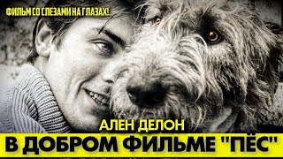 картинка: 🟥 Ален ДЕЛОН в фильме 