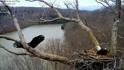 DHEC, Another Intruder, 030718