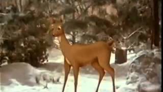 1980s Ronald McDonald Christmas Commercial - HootyHaHa's Flashbacks