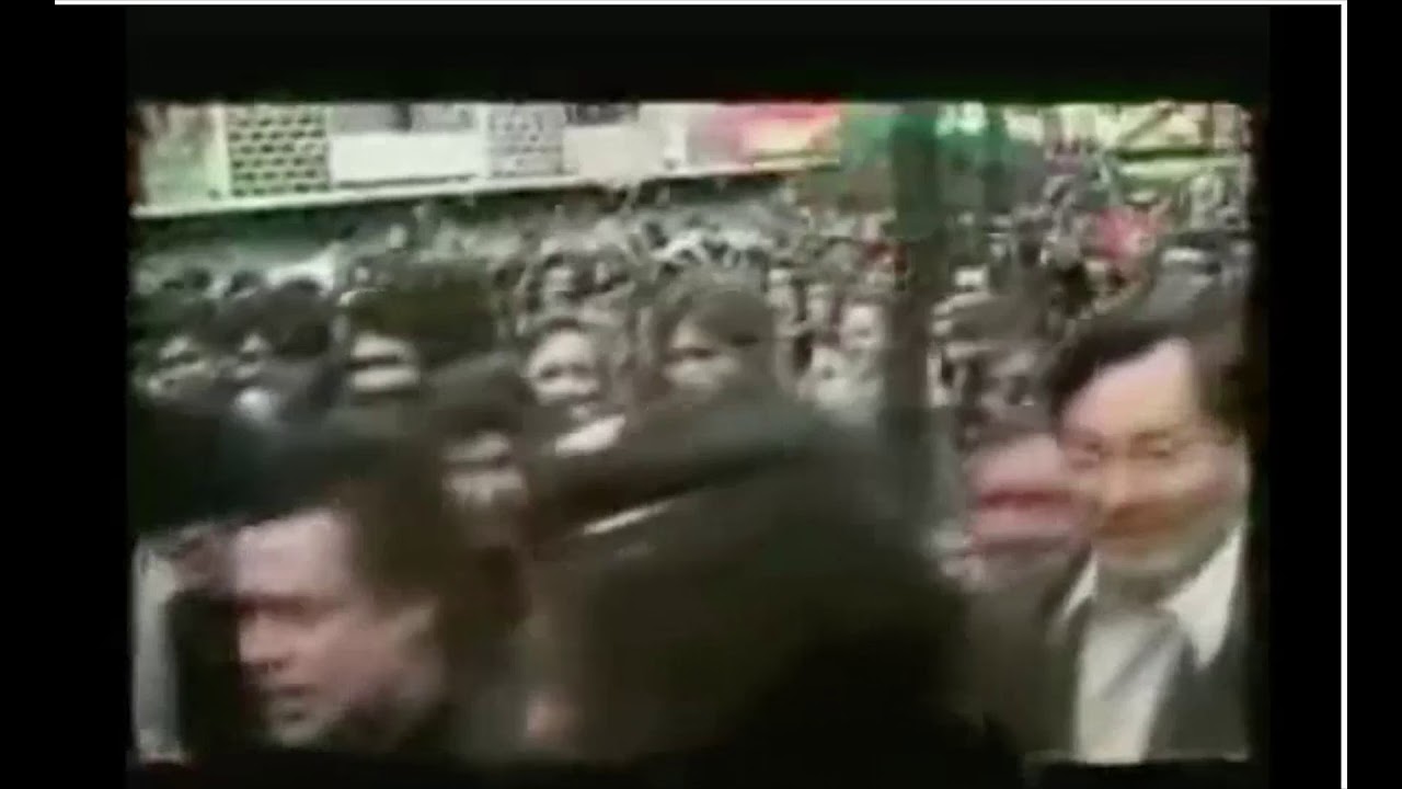 Revolta dos Cravos por LV