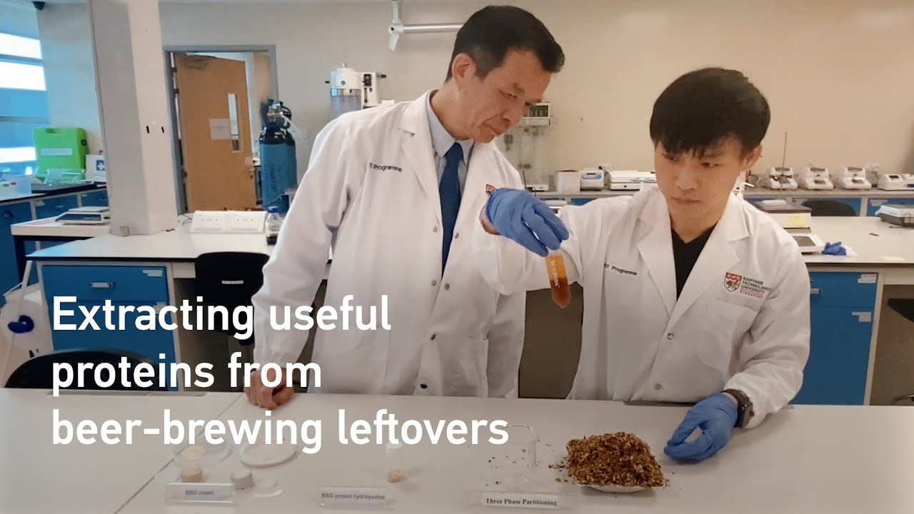 This innovative process extracts protein from beerbrewing leftover grains YouTube