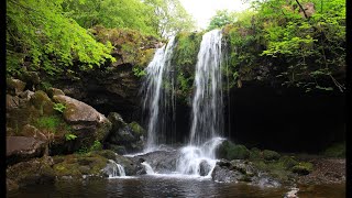 Campsie Glen Waterfalls