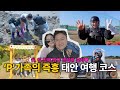 &#39;P&#39; 가족의 즉흥 태안 여행 코스 feat. 남자 셋이랑 살면 생기는 일 | 노사임당