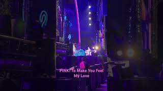 PINK: To Make You Feel My Love