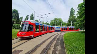 Rhätische Bahn Tram in Zürich - VBZ Cobra Bernina Express