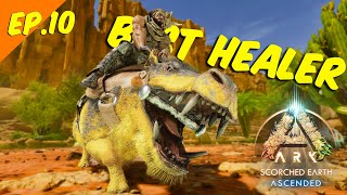 Taming the Best Healer Daeodon in Ark Ascended Scorched Earth | #arkascended #taming