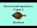 Русская Рыбалка 3.99 Камчатский промысел 2 - Камбала