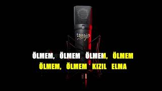 Mustafa Yıldızdoğan - Kızıl Elma / Karaoke / Md Altyapı / Cover / Lyrics / HQ Resimi