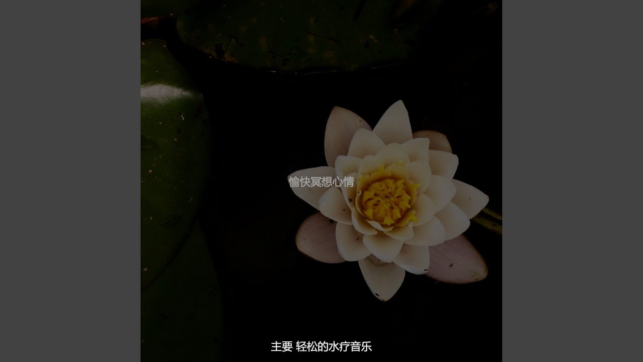 诗意的早上放松节奏 Youtube