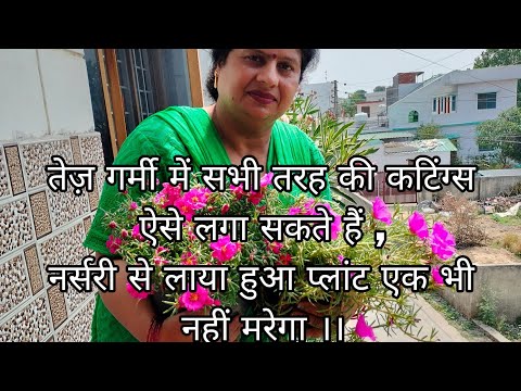 तेज़ गर्मी में सभी तरह की कटिंग्स ऐसे लगा सकते हैं , नर्सरी से लाया हुआ प्लांट एक भी नहीं मरेगा ।।