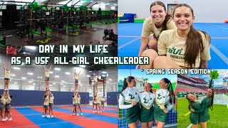 DIML: USF cheerleader spring season edition