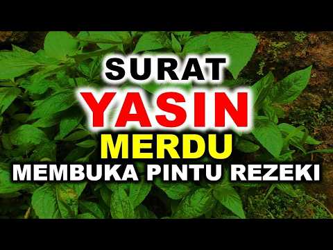 MEMBUKA PINTU REZEKI DENGAR MUROTTAL ALQURAN MERDU SURAT YASIN MERDU
