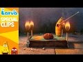 Official larva weekly best  funny animation compilation  week 4 nov 2016