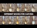Wood varieties for spoon carving  deborah schneebeli morrell