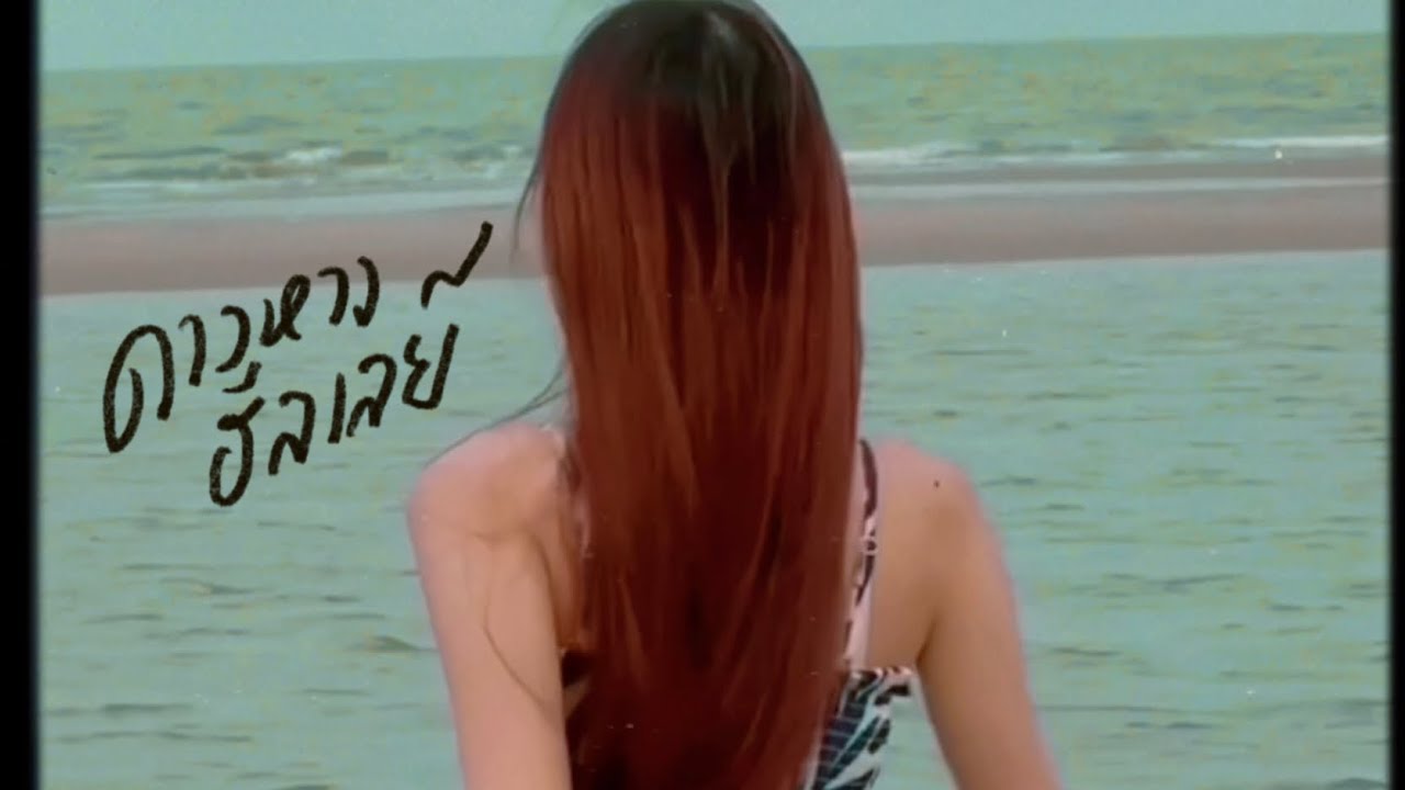 ดาวหางฮัลเลย์ - fellow fellow (praesun cover)