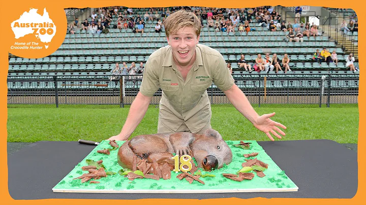 A stirring tribute to Robert Irwin on his 18th bir...