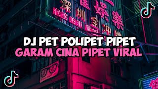 DJ PET POLIPET PIPET GARAM CINA TIK TOK VIRAL