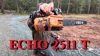 Echo 2511 T Revisited