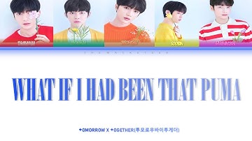 TXT (투모로우바이투게더) What If I Had Been That Puma Lyrics (ColorCoded/ENG/HAN/ROM)