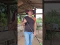 vamos vender