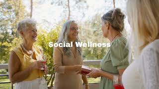 7 Pillars of Wellness for Women Over 50 | Sparkle After 50 Framework for Midlife Health