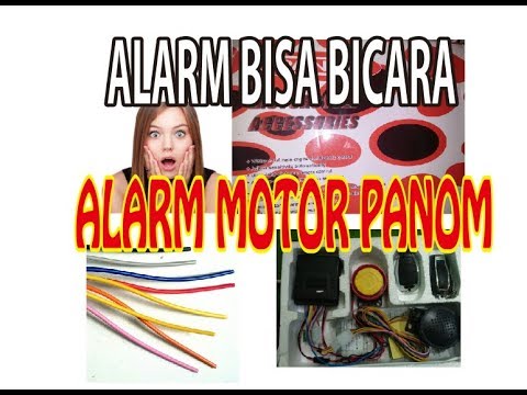 Alarm Motor Mobil  merk Panom bisa  Ngomong Bicara  YouTube