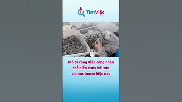 Mô tả công việc công nhân chế biến thủy hải sản và mức lương hiện nay