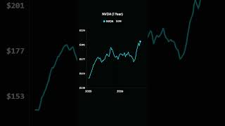NVDA (1 Year)