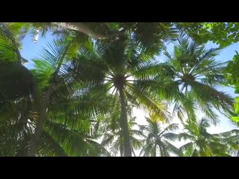 فيديو كليب روان وريان اليوم الوطن السعودية2020