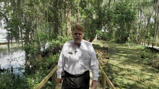 Experience Lake County's "Real Florida"