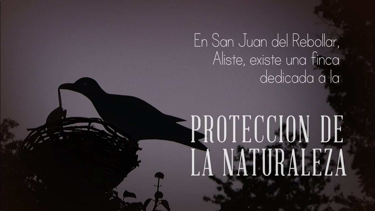 FINCA PROTECCIÓN DE LA NATURALEZA, SAN JUAN DEL REBOLLAR
