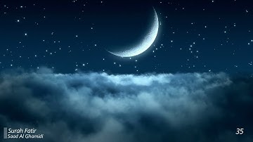 Surah Fatir Saad Al Ghamidi 35  سورة فاطر سعد الغامدي