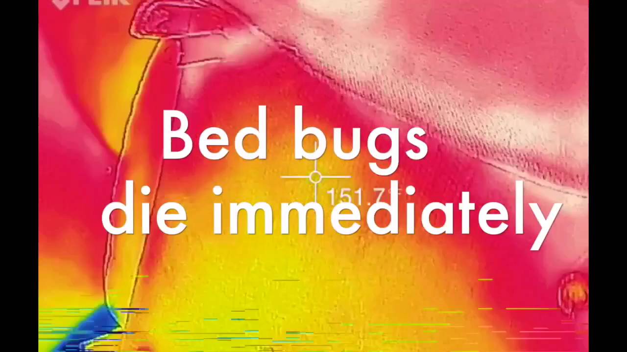 Houston Bed Bug Treatment YouTube