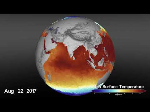 Video Sea Surface Temperature (SST) from January 2016 through March 2020