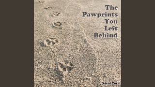 The Pawprints You Left Behind