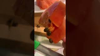 I never eat papaya seeds till now! Edible and nutritious #shorts