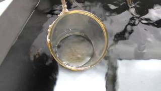 Supersonic wave (basic experiment)no.103