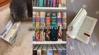 ✨Марафон: 3 книги за 3 дня||Реорганизация книжных полок||Книжные покупки