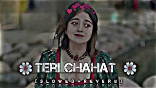 Teri Chahat Hindi Romantic Love Song Original Lyrics Song Audio