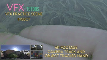 VFX Creature Animation - Insect