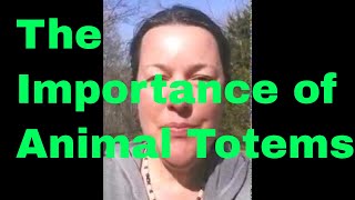 The Importance of Animal Totems