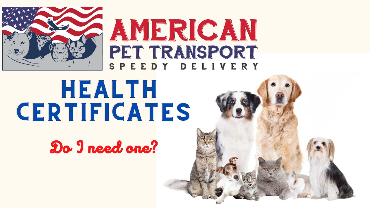 Do Pets Need Health Insurance