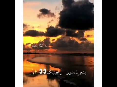 يا ليتني لا املك قلبا